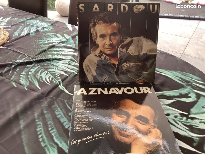 33tours vinyles (image 1)