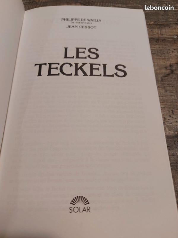 Les Teckels (image 3)