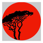 Logo du professionnel
