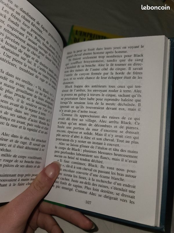 Lot 3 livres l'Étalon noir (L'empreinte, La légende, Un rival pour l'étalon noir) (image 7)