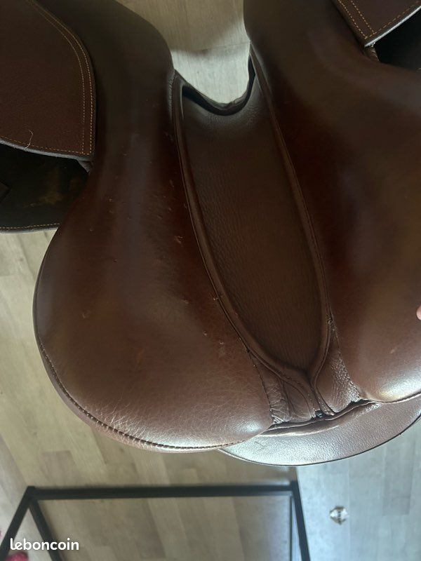 Vend selle et bride (image 1)
