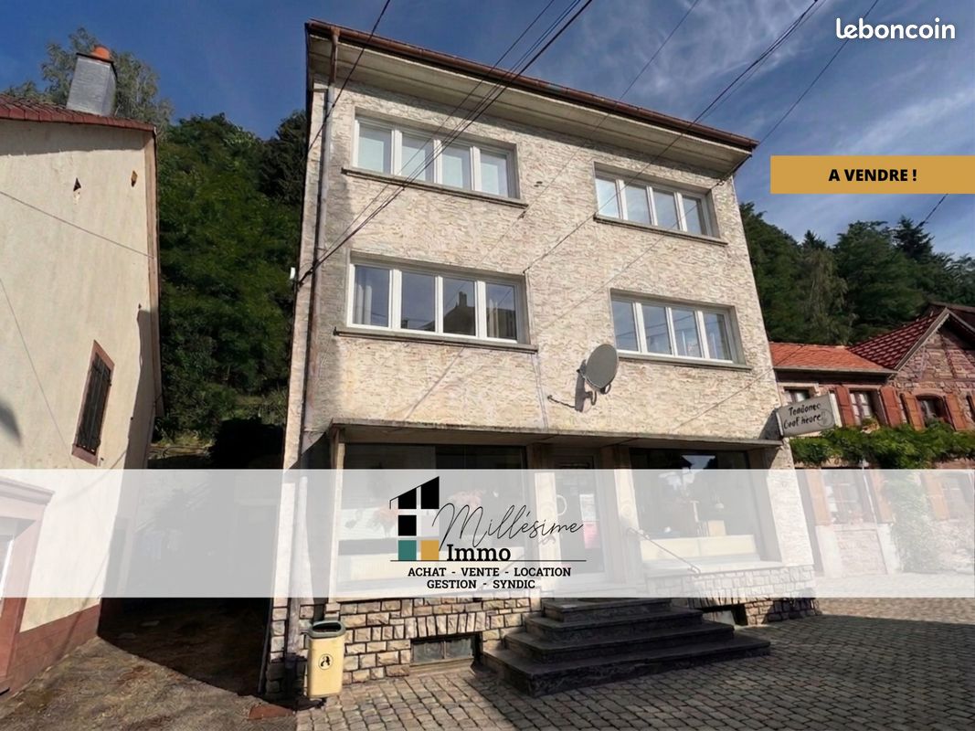 Immeuble 210 m² · à Lutzelbourg · 210 m² · 212 000 €
