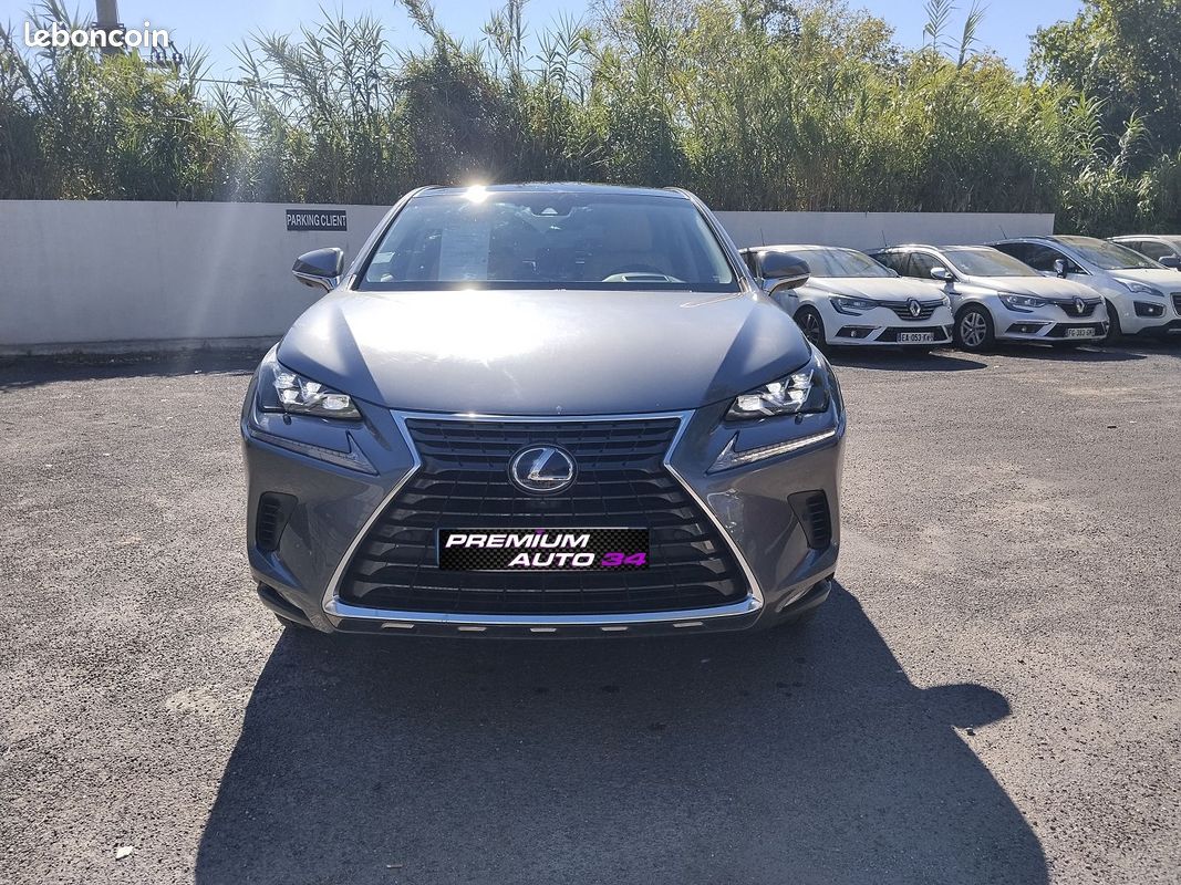 Lexus NX 300H 4WD LUXE (image 2)