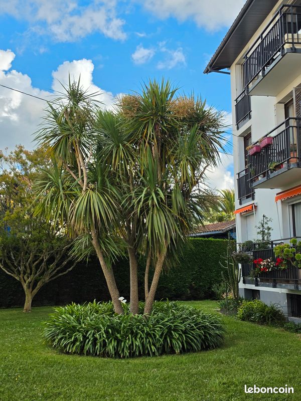 Appartement 3 pièces 64 m² · à Biarritz · 64 m² · 350 000 €