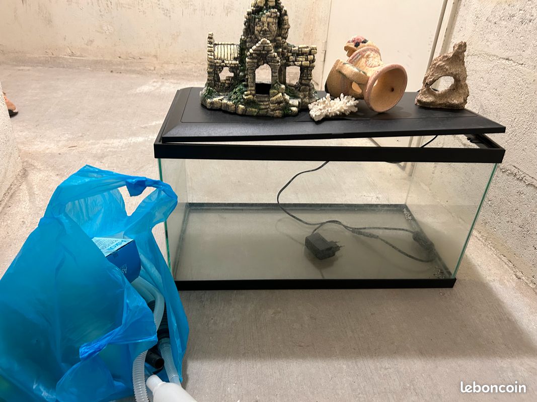 Aquarium (image 2)