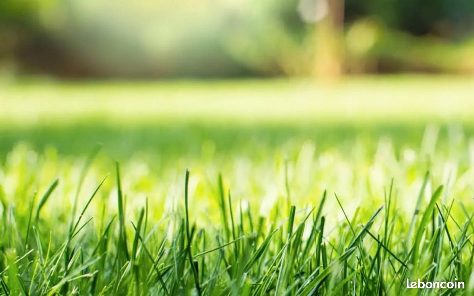 Terrain 450 m² · à Saint-Maur-des-Fossés · 620 000 €