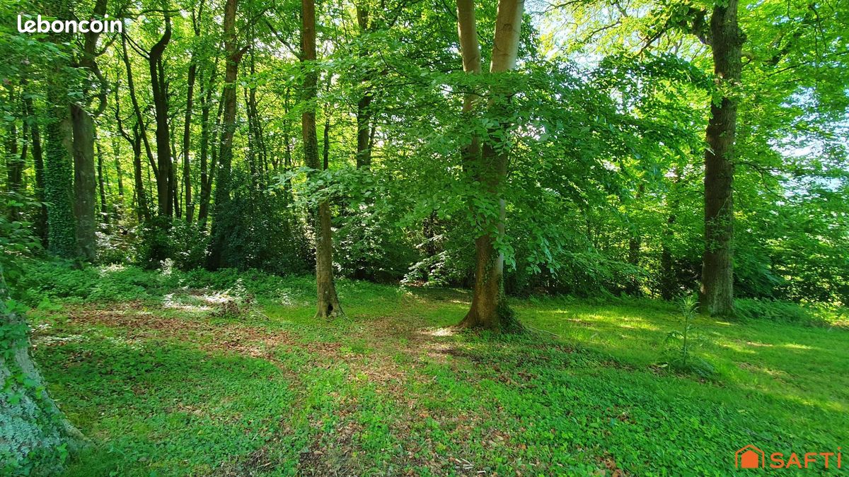 Terrain 2941 m² SAINT-GATIEN-DES-BOIS (image 4)