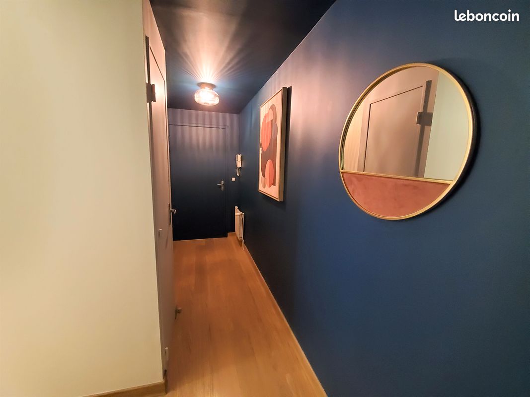Appartement de standing avec vue sur la Mayenne (image 8)