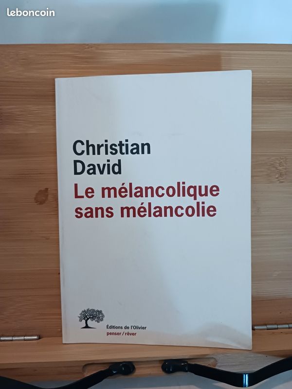 Le Mélancolique sans mélancolie - 9782879295688
Christian David (image 1)