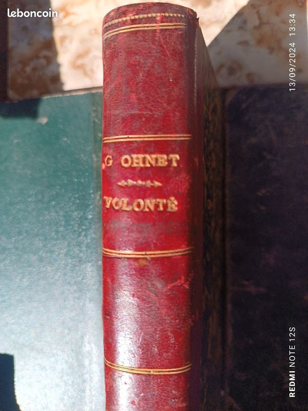 Livre ancien.les batailles de la vie (image 1)