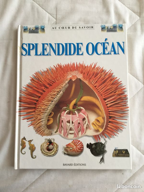 Livre "Splendide océan " de Macquitty, Miranda (image 1)