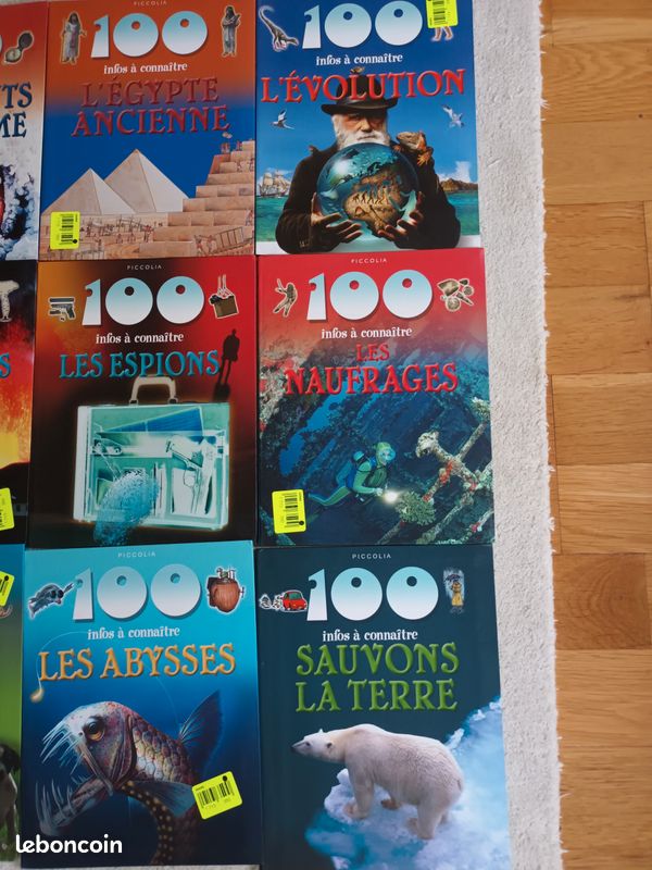 100 infos à connaître PICCOLIA (image 3)