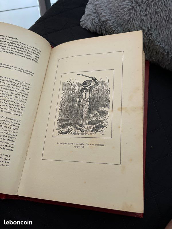 Livre très ancien la famille naufragée pas de livraison (image 7)