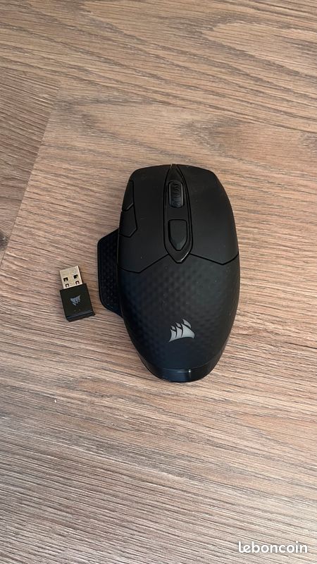 Souris gaming sans fil Corsair DARK CORE RGB (image 1)