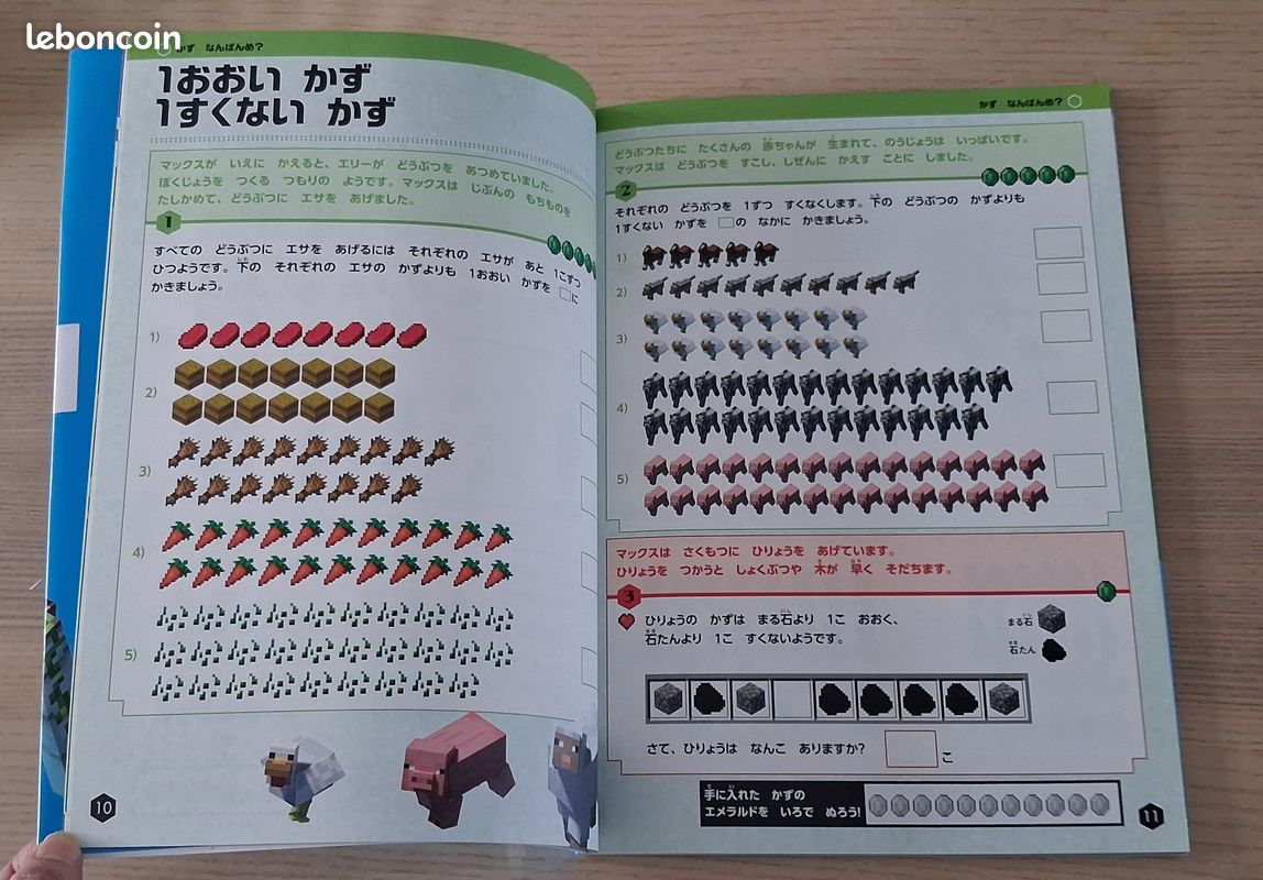 Livre Minecraft en japonais (image 4)