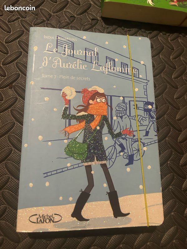 Le journal d’Aurélie Laflamme (image 4)