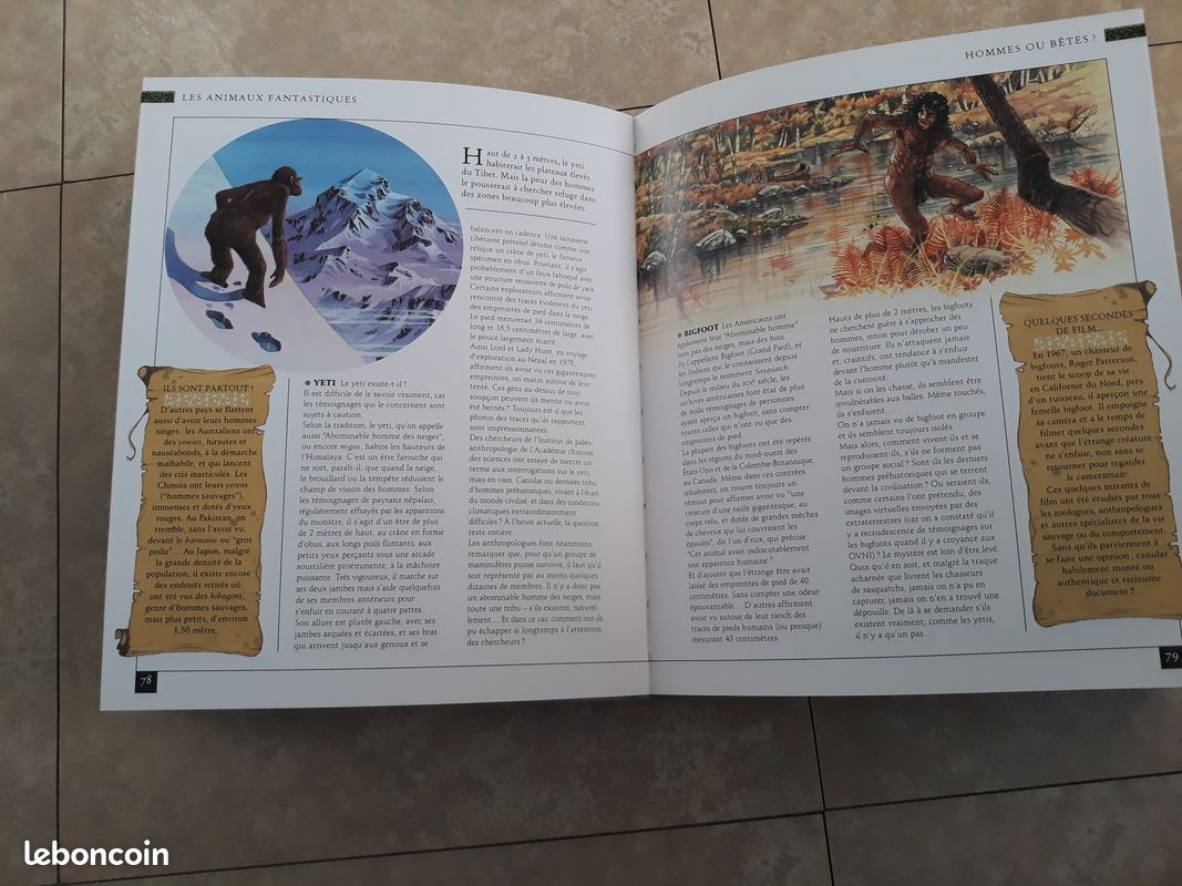 Encyclopédie Du Fantastique Et De L'étrange - L'intégrale - TBE (image 6)