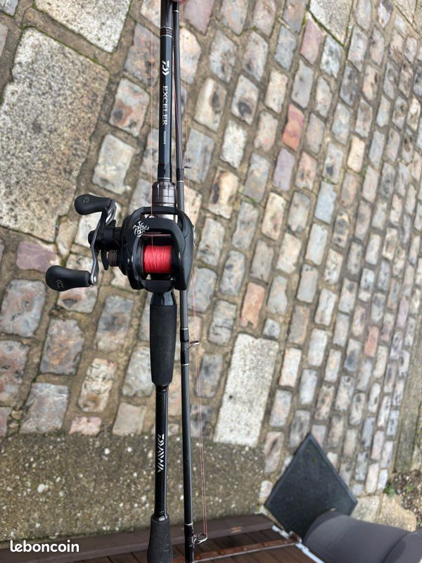 Canne casting daiwa (image 2)