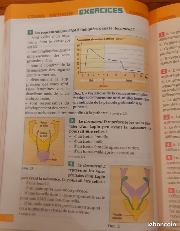 Terminale S – SVT / Sciences et Vie de la Terre - PREPABAC - LH94 (image 2)