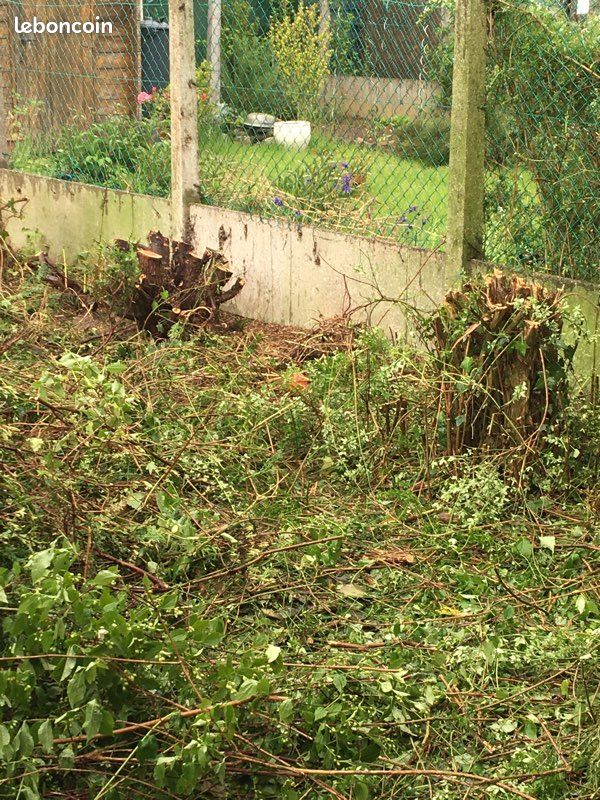 Arrache souches (image 2)