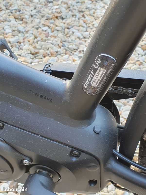 Vtc femme electrique (image 1)
