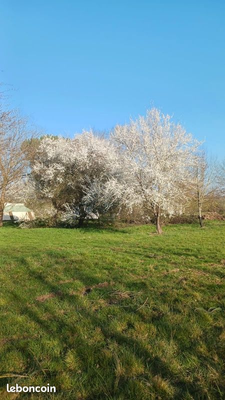 Maison 2 pièces 120 m² · à Beaumont-de-Lomagne · 120 m² · 165 000 €