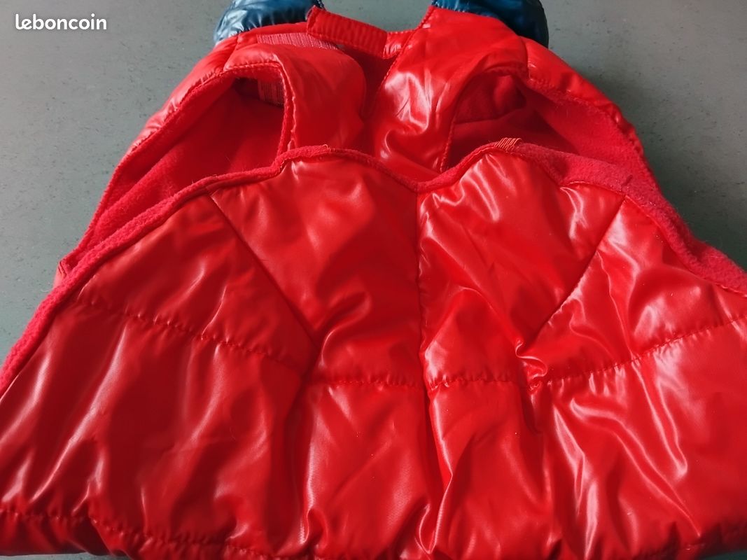 Manteau hiver pour chien (image 2)