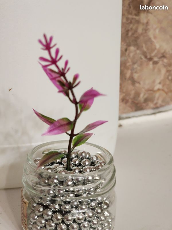 Plante artificielle pour décoration (image 5)