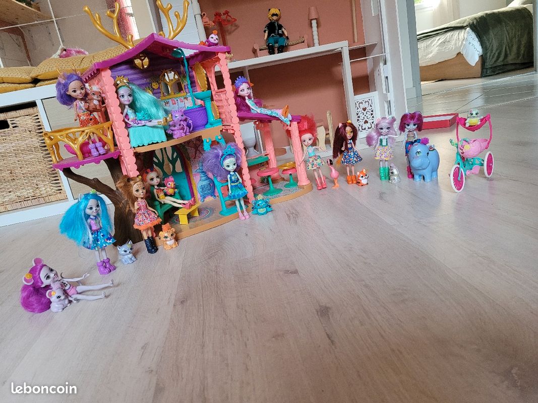 Lot Maison et Poupées Enchantimals (image 4)