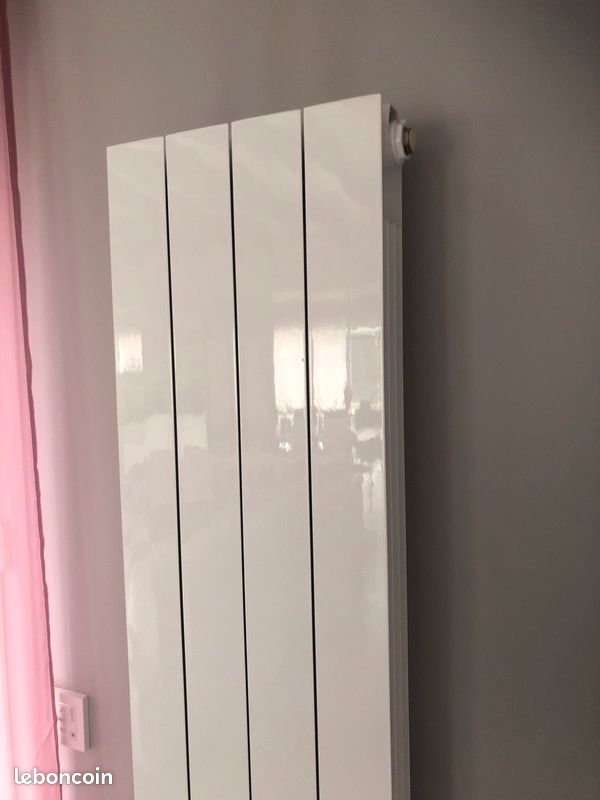 Radiateur ACOVA FASSANE blanc laqué (image 4)