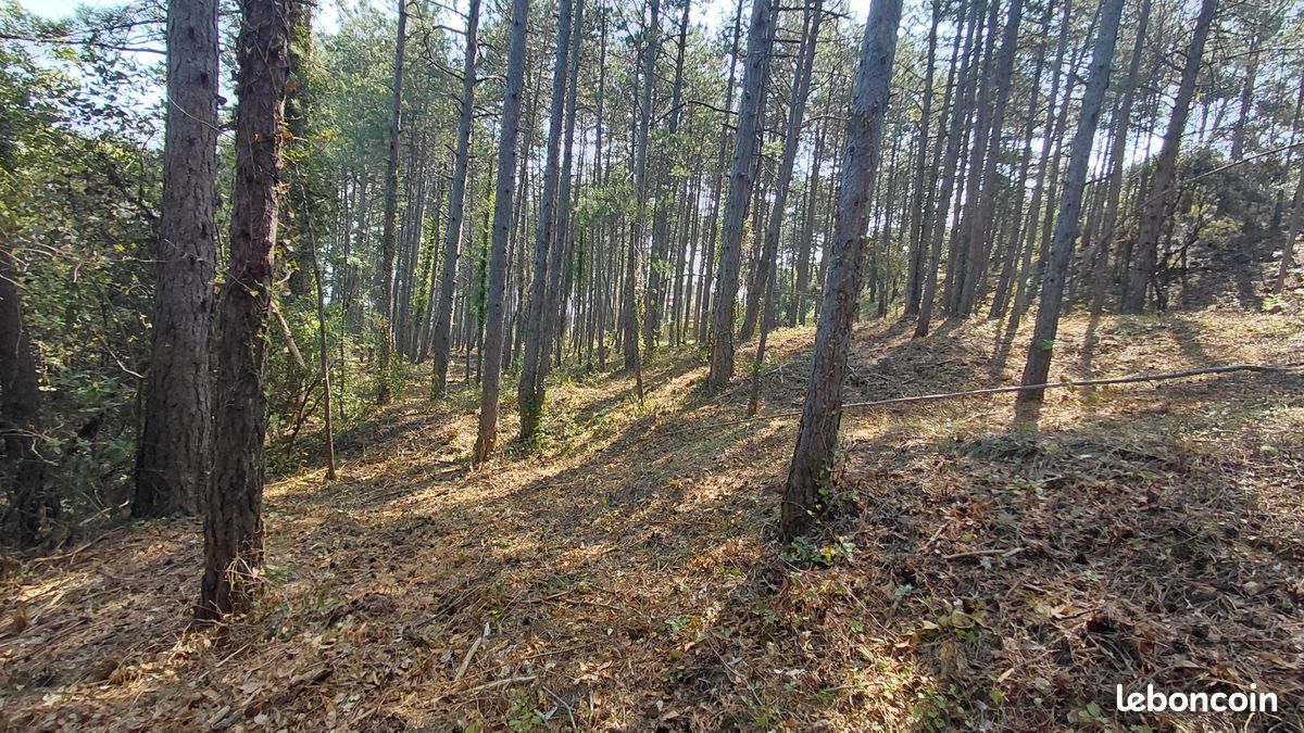 Terrain 3577 m² · à Bourg-Saint-Andéol · 3 577 m² · 245 000 €