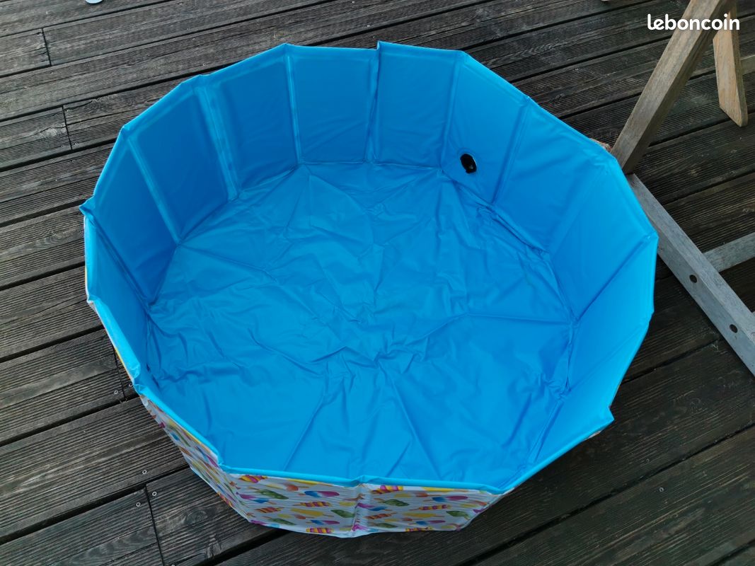 Piscine chien (image 3)