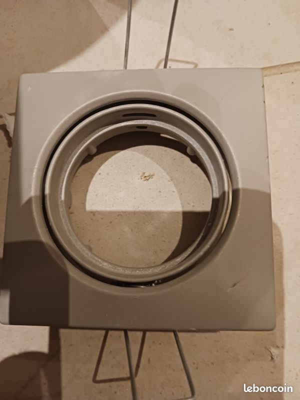 Spot (image 2)