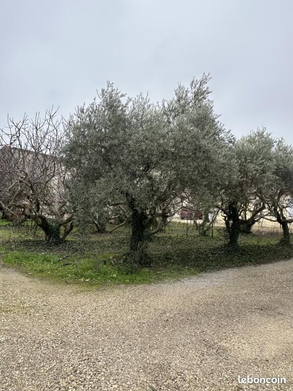 Terrain 861 m² Caromb · 199 500 €