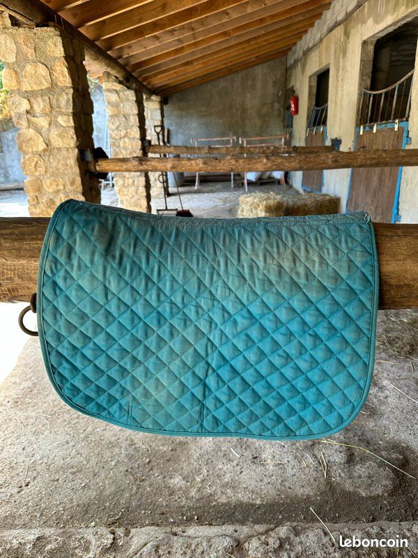 Affaire d’équitation (image 3)