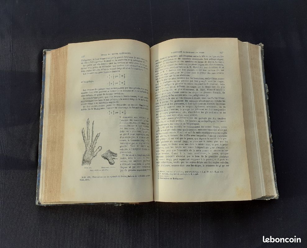 Livre " Revue du monde catholique " de 1878 (image 4)
