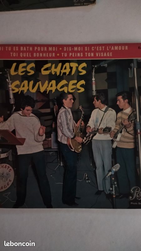 3 disques 45,tour les Chats Sauvages (image 1)