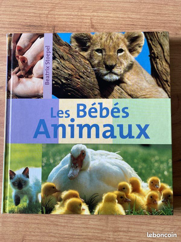 Livre bébés animaux (image 1)