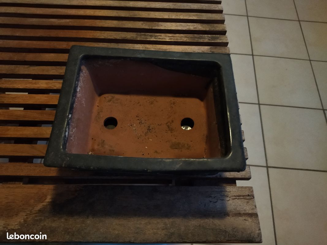 Pot bonsaï grand (image 1)