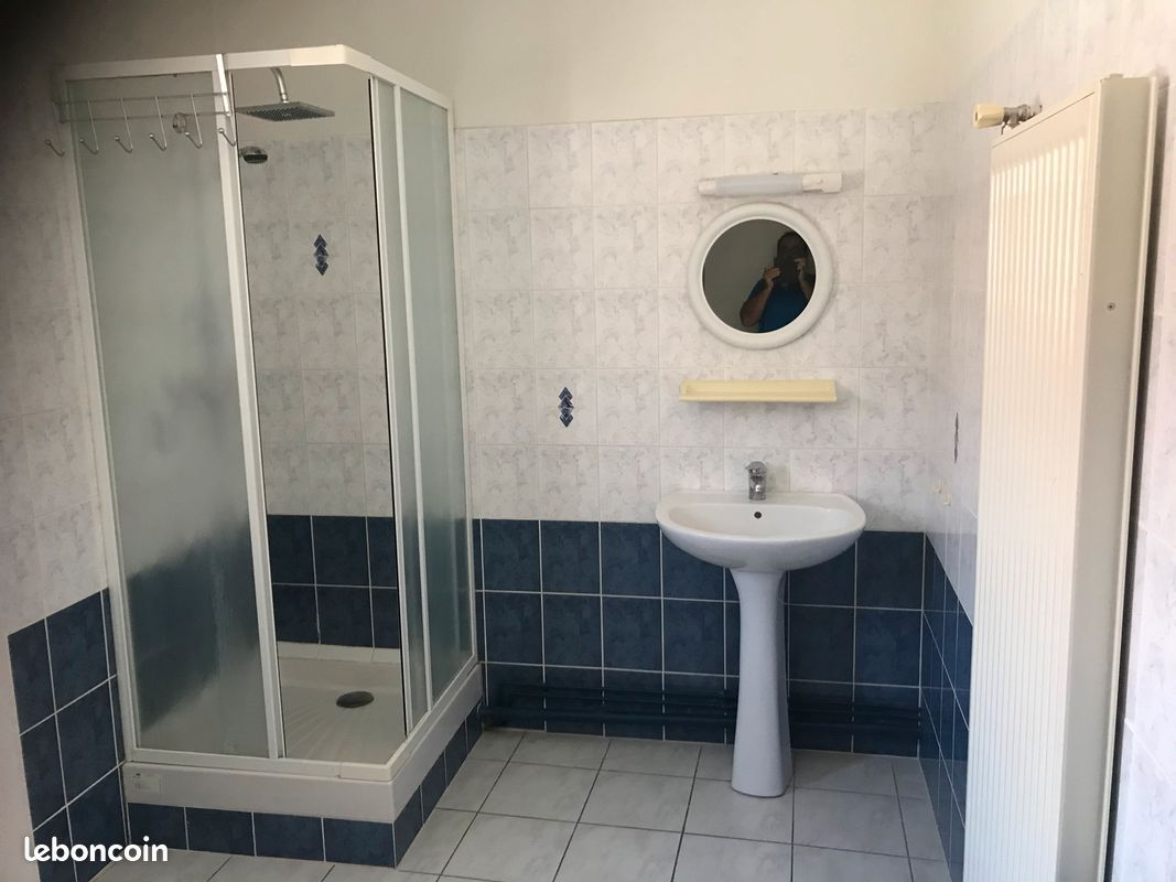 À louer appartement - Saint-Savin 86310 (image 2)