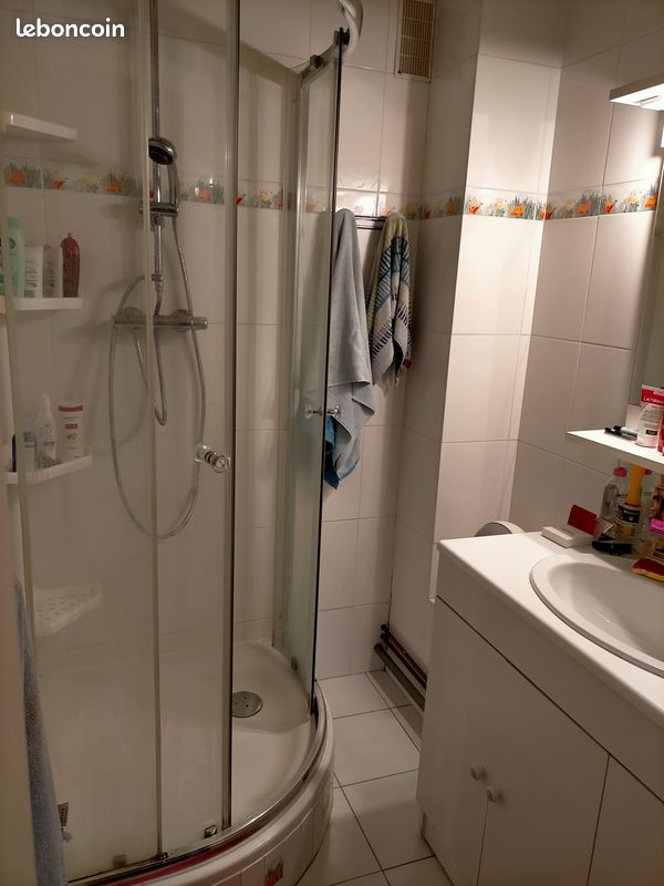 Vend t3 bon etat tres lumineux quartier vanteaux - Limoges 87000 (image principale 2)