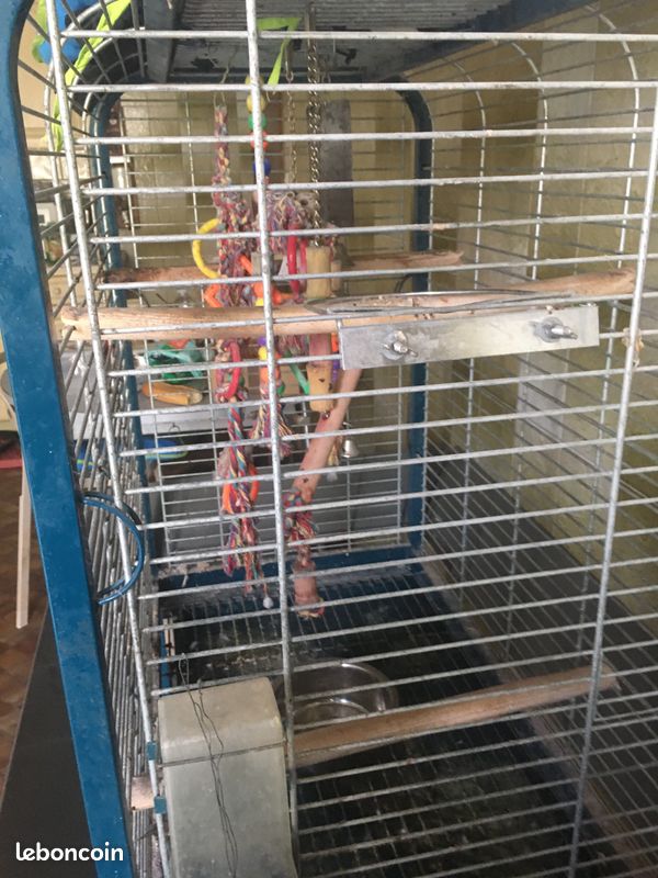 Cage perroquet (image 2)