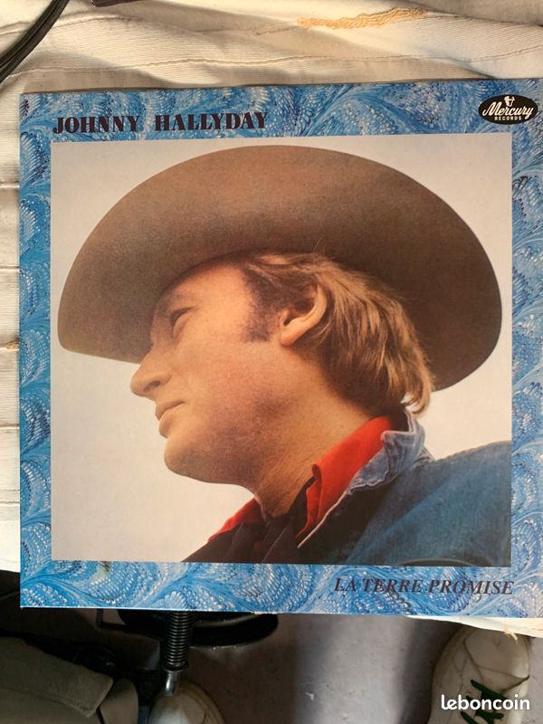 Lots 45 disques vinyles 33 tours johnny Hallyday (image 7)