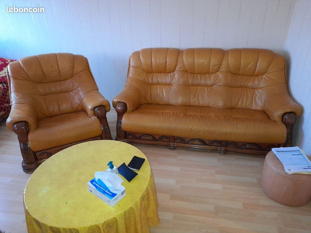 Vend fauteuil en cuir (image 3)