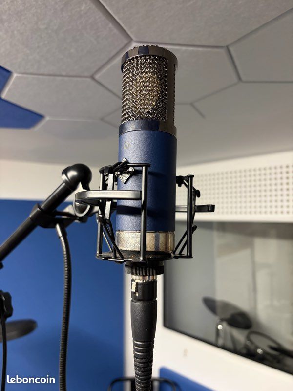 Micro de studio Telefunken TF11 FET condensateur microphone vocal FET Carnhill (image 4)