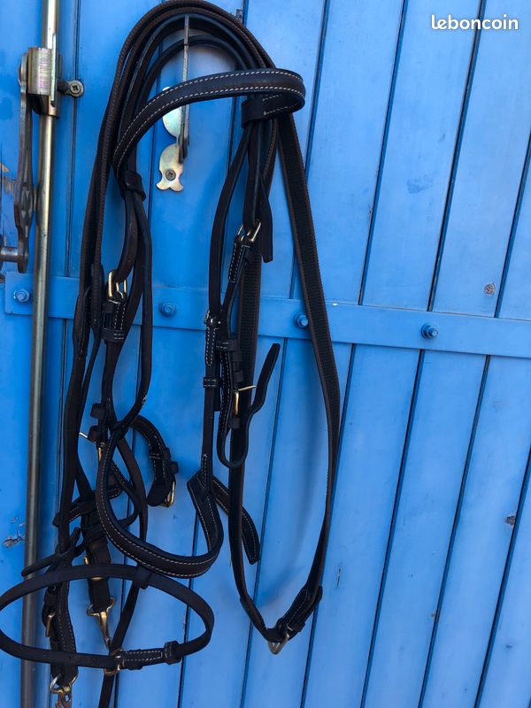 Lot affaires équitation (image 6)