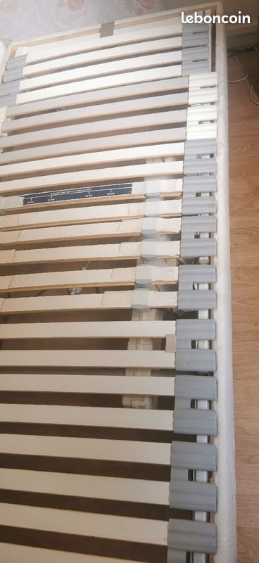 2 lits individuels tetes et pieds electriques 60 200 avec matelas (image 2)