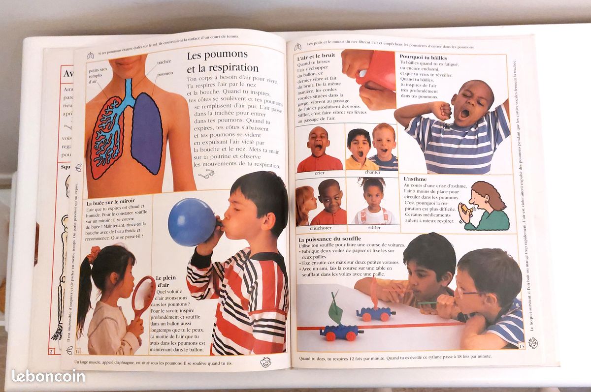 Mon grand livre du corps (image 5)