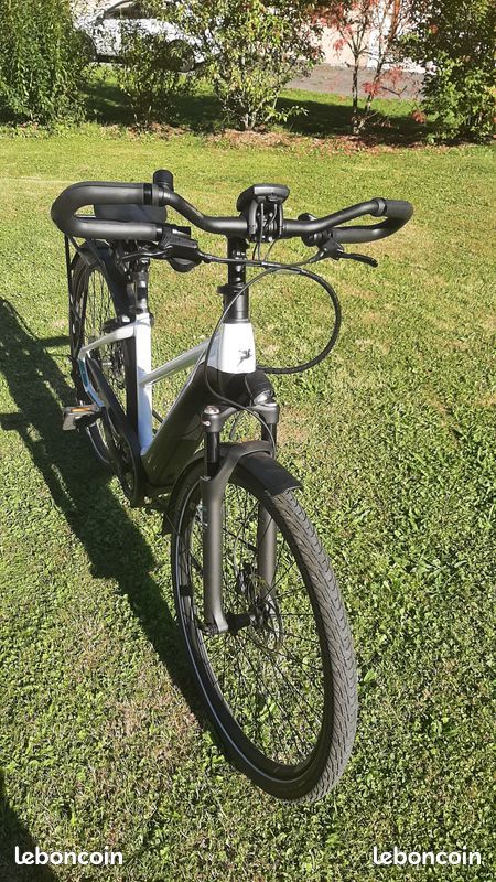 Vélo électrique Pégasus (image 3)