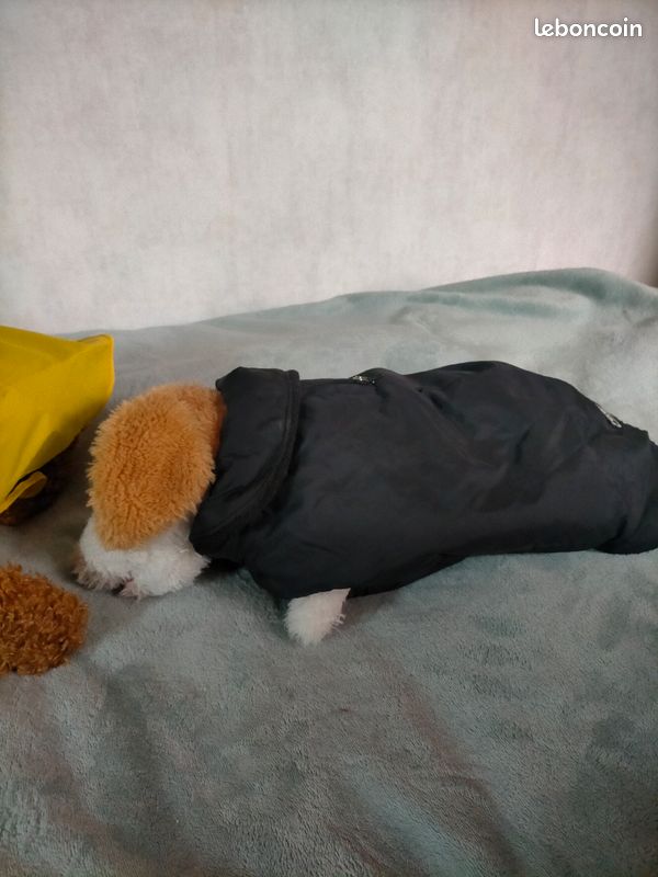 Animaux:Manteau hiver / Imperméable (image 2)